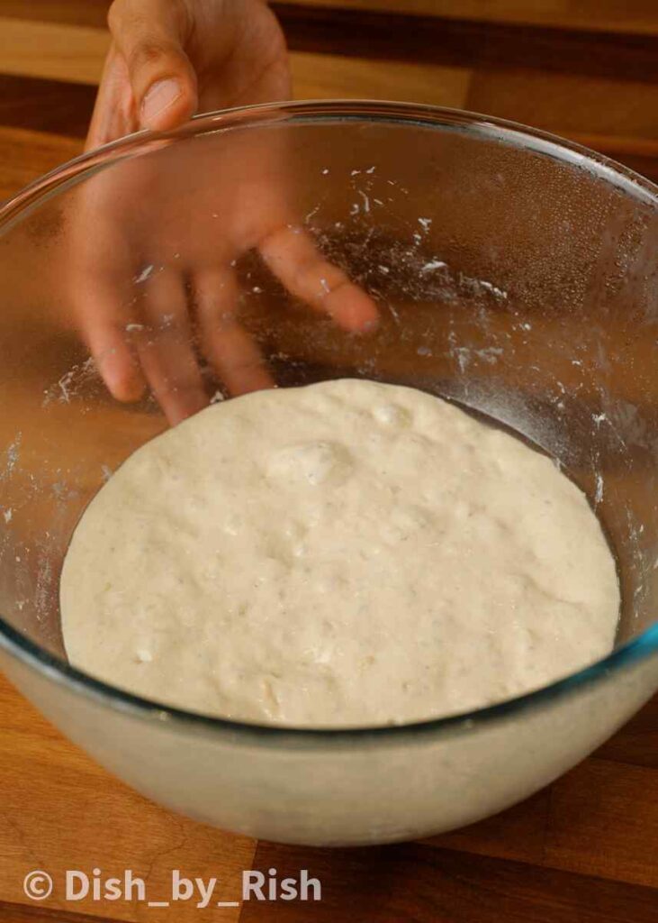 poolish risen and bubbly